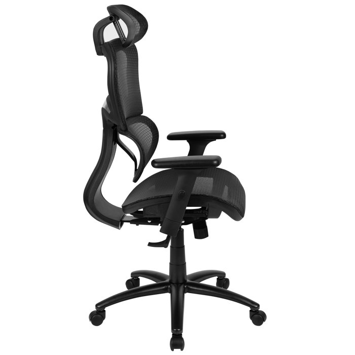 Latitude Run® Opuntia Ergonomic Mesh Task Chair & Reviews Wayfair